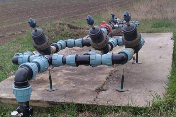 Продажа ягодного хозяйства по выращиванию органической клубники и малины в Киевской области